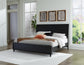 Danziar King Panel Bed with Mirrored Dresser