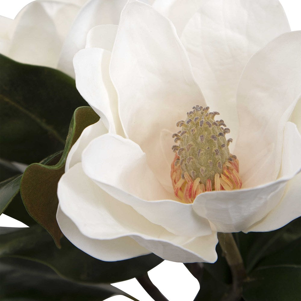 MIDDLETON MAGNOLIA CENTERPIECE