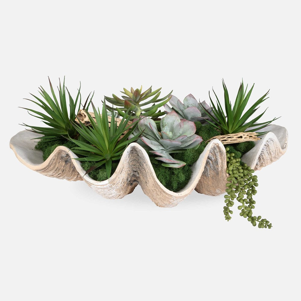 SEASIDE BREEZE SUCCULENTS