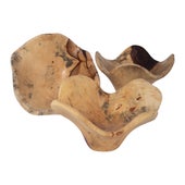 Tamarine Wood Wall Decor, S/3