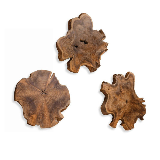 Kalani Wood Wall Decor, S/3