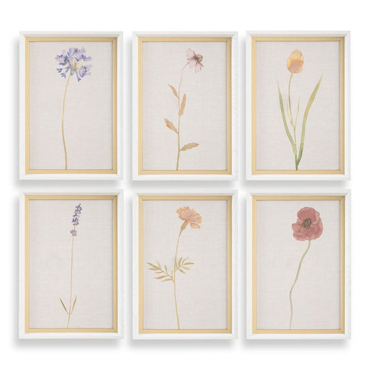 Wild Flourish Framed Prints, S/6