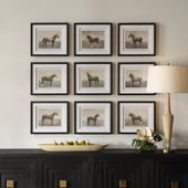 Equine Dynasty Framed Prints, S/9