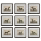 Equine Dynasty Framed Prints, S/9