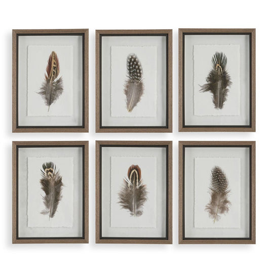 Birds of a Feather Framed Prints, S/6