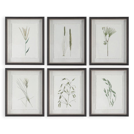 Forest Finds Framed Prints, S/6