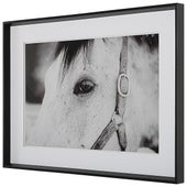 Eye Of The Beholder Framed Print