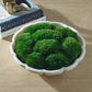 Awaken Moss Centerpiece