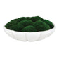 Awaken Moss Centerpiece