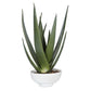 Evarado Aloe Planter