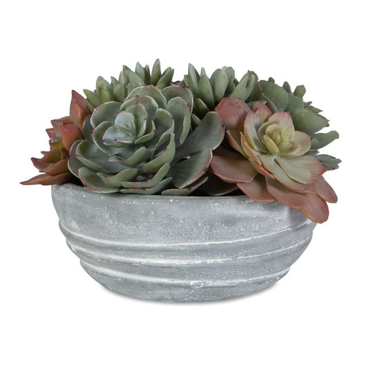 Peoria Succulent Accent