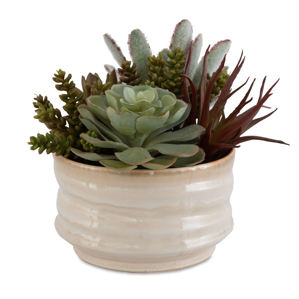 Mesa Succulent Accent