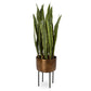 Fasita Planter, 2 cartons