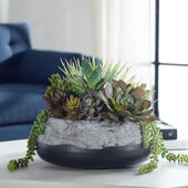 Gobi Succulent Centerpiece