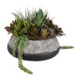 Gobi Succulent Centerpiece