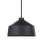 Holgate MB, 1 Lt Pendant