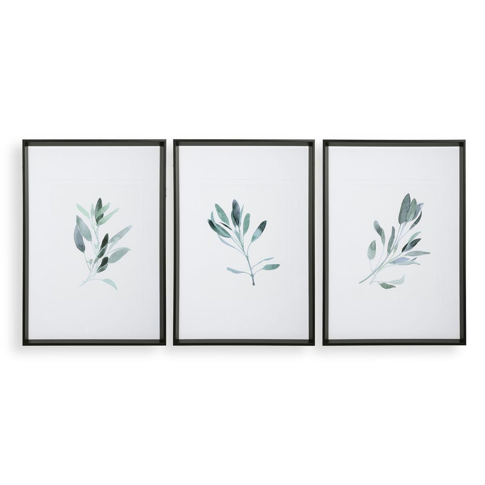 Simple Sage Framed Prints, S/3