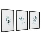 Simple Sage Framed Prints, S/3