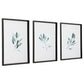 Simple Sage Framed Prints, S/3