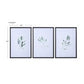 Simple Sage Framed Prints, S/3