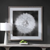 Dandelion Seedhead Framed Print