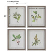 Wildflower Study Framed Prints, S/4