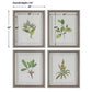 Wildflower Study Framed Prints, S/4