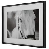 Eyes On The Prize Framed Print