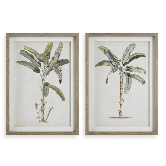 Banana Palm Framed Prints, S/2