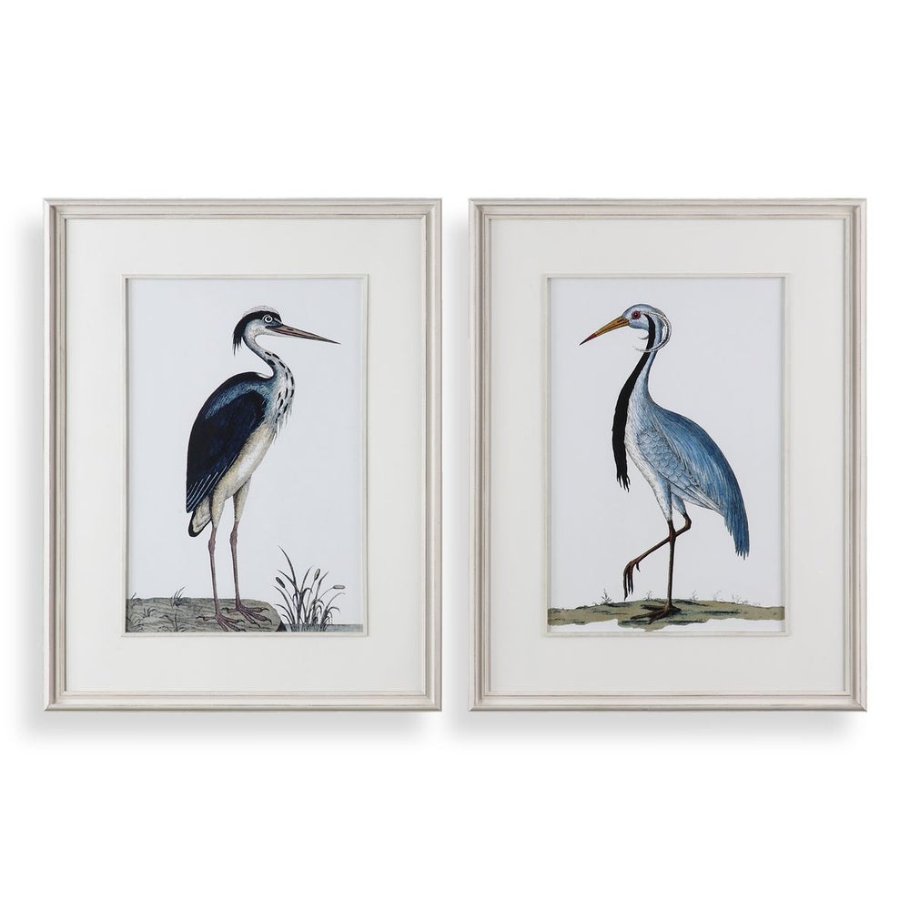 Shore Birds Framed Prints, S/2