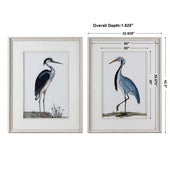 Shore Birds Framed Prints, S/2