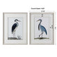 Shore Birds Framed Prints, S/2