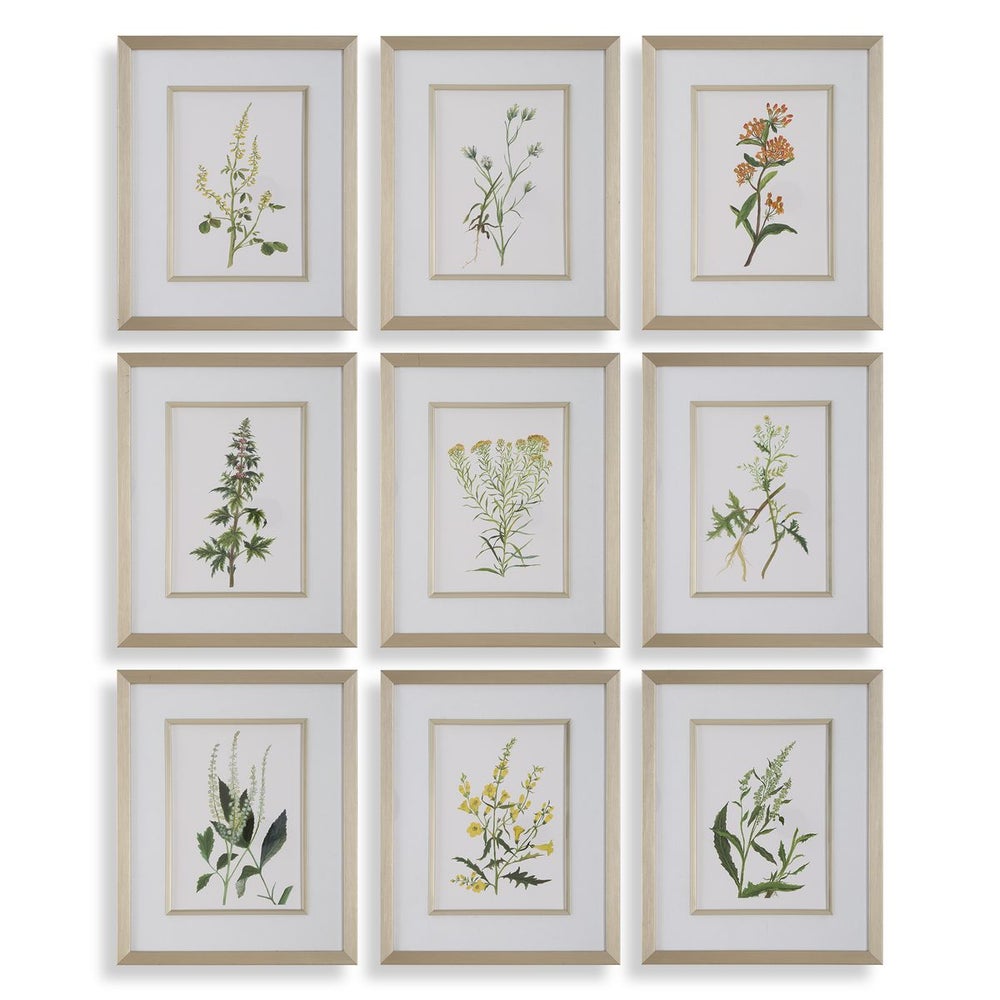 Botanical Flowers Framed Prints, S/9