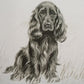 Loyal Companion Framed Prints, S/9