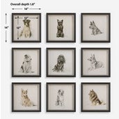 Loyal Companion Framed Prints, S/9