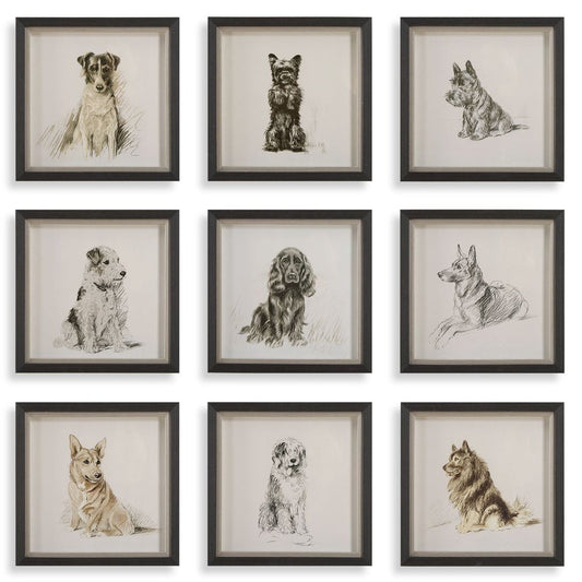 Loyal Companion Framed Prints, S/9