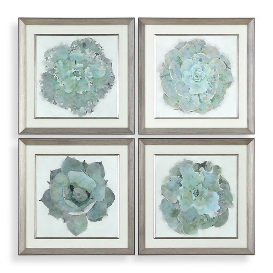 Natural Beauties Framed Prints, S/4