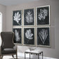 Foliage Framed Prints, S/6