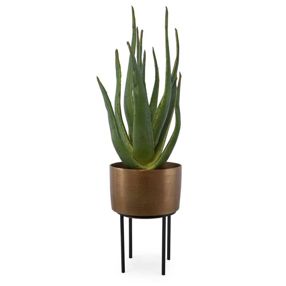 Arabia Aloe Planter, 2 CARTONS