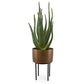 Arabia Aloe Planter, 2 CARTONS