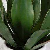 Tierra Agave Centerpiece