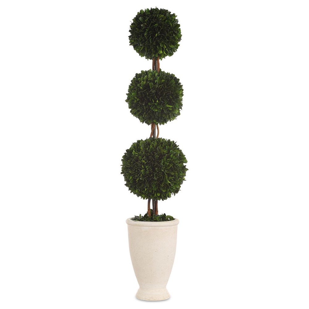 Preserved Boxwood Triple Topiary